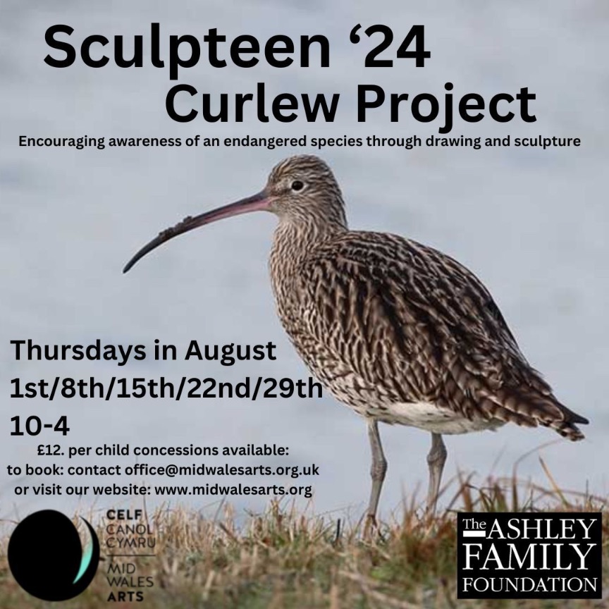 Sculpteen ‘24 - Curlew Project